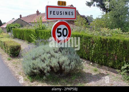 Schild mit der Ankunft im Dorf Feusines, einer ländlichen Gemeinde in der Region Indre in Mittelfrankreich. Stockfoto