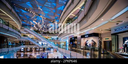 Rolltreppen in der IFC Mall, Pudong, Shanghai, China, Asien Stockfoto