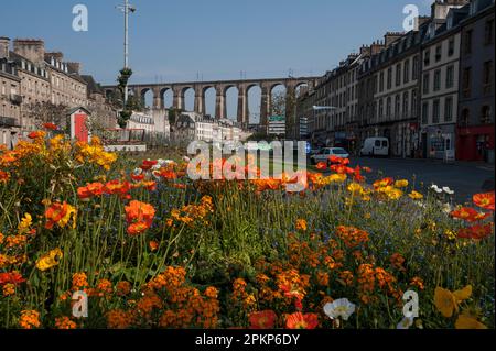 Blumen vor dem Viaduc de Morlaix, Viadukt, Morlaix, Bretagne, Frankreich, Europa Stockfoto