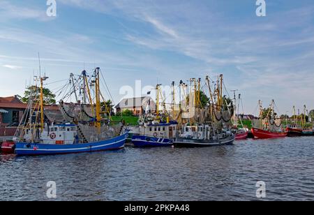 Krabbenfräser im Hafen von Greetsiel, die größte Flotte in Ostfriesien, Greetsiel, Ostfriesien, Niedersachsen, Deutschland, Europa Stockfoto