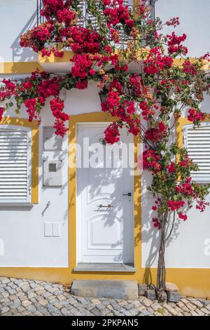 Traditionelles portugiesisches Haus mit Blumen in der Algarve von Portugal. Stockfoto