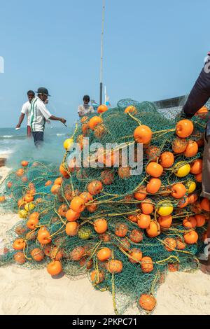 Benaulim Beach, Goa - Indien. April 06 2023. Fischer laden ihren Fang von den Strohhäckslern an die Küste. Die Fischer sortieren dann sorgfältig Segrega Stockfoto