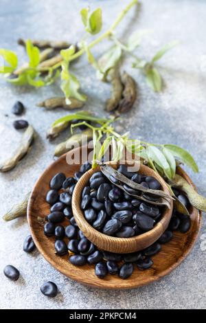 Bio-Lebensmittel. Der Begriff vegane oder diätetische Nahrung. Frische, reife schwarze Sojabohnen auf Steinhintergrund. Stockfoto