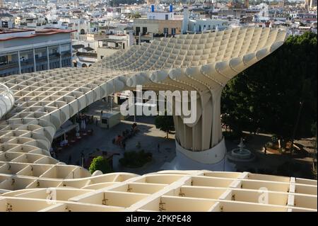 Setas de Sevilla oder Metroploe Parasol auf dem Platz La Encarnación, Sevilla Stockfoto