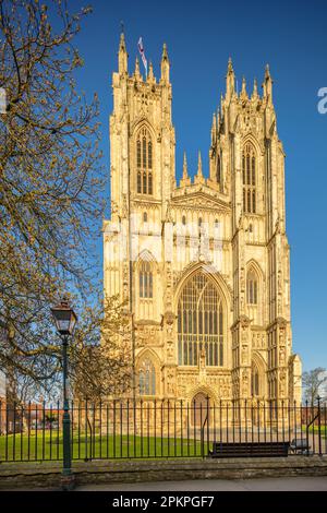 Beverley Minster. East Yorkshire. Schöne Gotische Kirche. Erbaut mit Tadcaster York Kalkstein 1190 bis 1420. York Diozese. Kirche St. John & St. Martin. Stockfoto