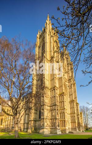 Beverley Minster. East Yorkshire. Schöne Gotische Kirche. Erbaut mit Tadcaster York Kalkstein 1190 bis 1420. York Diozese. Kirche St. John & St. Martin. Stockfoto