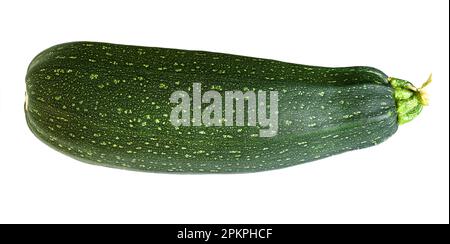 Gemüsemarkzucchini, isoliert auf weißem Hintergrund. Fotografie eines frischen Kürbiss. Thema Zucchini, Bio-Lebensmittel, Natur. Stockfoto