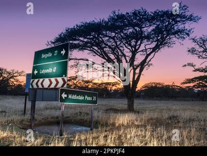 Sonnenaufgang mit Acacia tortilis (Regenschirm Thorn) und Straßenschildern am Ortseingang von Geluksburg. Stockfoto