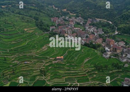 (230409) -- HANGZHOU, 9. April 2023 (Xinhua) -- Dieses Luftfoto wurde am 18. Juli 2022 aufgenommen und zeigt einen Blick auf das Longxian Village von Lishui City, Ostchina's Provinz Zhejiang. Im Juni 2003 startete die Provinz Zhejiang das Projekt "Thousand Villages Demonstration and zehntausend Villages Renovation" mit dem Ziel, zehntausend Verwaltungsdörfer in der Provinz umfassend zu renovieren und tausend wichtige Dörfer in insgesamt wohlhabenden Modelldörfern zu bauen. Zwanzig Jahre lang hat das Projekt Tausende von schönen Dörfern geschaffen und das Gesicht der Provinz grundlegend verändert Stockfoto