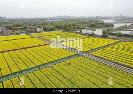 (230409) -- HANGZHOU, 9. April 2023 (Xinhua) -- Dieses Luftfoto, das am 25. März 2023 aufgenommen wurde, zeigt Touristen, die sich auf einem Raps-Blumenfeld an einem Öko-Tourismus-malerischen Ort in der Stadt Huzhou, Ostchina Provinz Zhejiang, erfreuen. Im Juni 2003 startete die Provinz Zhejiang das Projekt "Thousand Villages Demonstration and zehntausend Villages Renovation" mit dem Ziel, zehntausend Verwaltungsdörfer in der Provinz umfassend zu renovieren und tausend wichtige Dörfer in insgesamt wohlhabenden Modelldörfern zu bauen. Seit zwanzig Jahren hat das Projekt tausende hervorgebracht Stockfoto