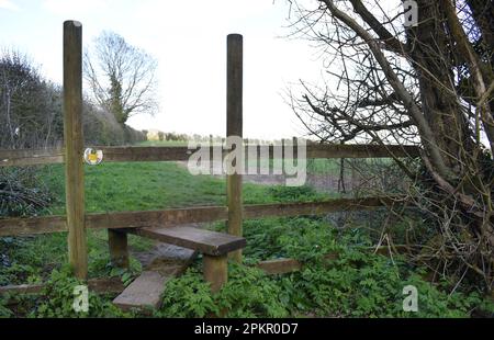 Ein Pfahl Stockfoto