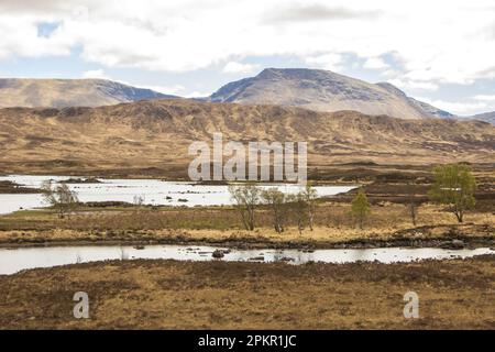 Blick über die Lochans und die Inseln der einsamen Landschaft von Rannoch Moor in den westlichen schottischen Highlands Stockfoto