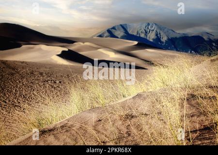 Der Great Sand Dunes-Nationalpark in Colorado sammelt Sand vor den Sangre de Christo Mountains im San Luis Valley. Stockfoto