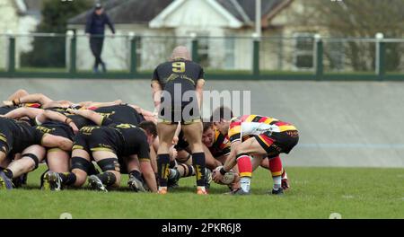 Carmarthen Quins RFC / RCG Indigo Premiership 08.04.2023 Stockfoto