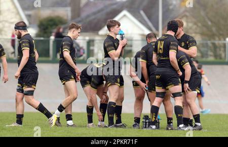 Carmarthen Quins RFC / RCG Indigo Premiership 08.04.2023 Stockfoto