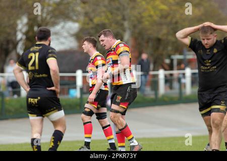 Carmarthen Quins RFC / RCG Indigo Premiership 08.04.2023 Stockfoto