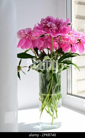 Blick auf einen Strauß rosa Pfingstrosen, der in einer Vase am Fenster steht. Konzepthintergrund, Blumen, Feiertage Stockfoto