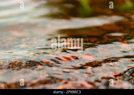 Kieselsteine im Wasser. Stockfoto