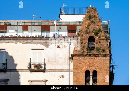 Italien, Neapel, Via dei Tribunali, Campanile der Kirche Santa Maria Maggiore in Pietrasanta Stockfoto