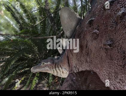 Der Sudwala Caves Dinosaur Park in der Provinz Mpumalanga. Der Dinosaur Park befindet sich neben den Sudwala Höhlen, in der Nähe von Nelspruit, Stockfoto