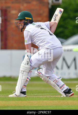 Incora Cricket Ground, Derby, Großbritannien. Derbyshire CCC gegen Worcestershire CCC bei der LV=Inter County Cricket Championship (Tag 4 ) am 09. April 2023 bildete Jake Libby (Worcestershire CCC) Schlagspiele. Kredit: Mark Dunn/Alamy Live News Stockfoto