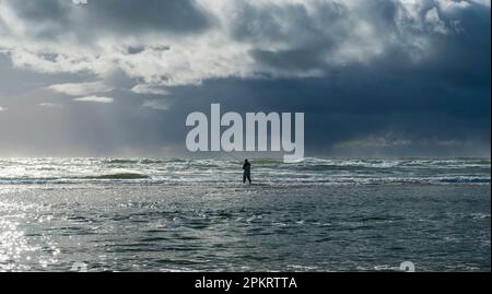 Ein alleinstehender Fischer in Neoprenanzug, der im Wasser der Ebbe steht und vom Sonnenlicht beleuchtet wird Stockfoto