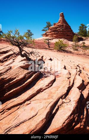 Spektakuläre Ausblicke auf die Kolob Terrace Road vor dem Zion-Nationalpark in der Nähe von Springdale, Utah Stockfoto