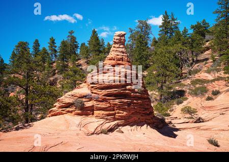 Spektakuläre Ausblicke auf die Kolob Terrace Road vor dem Zion-Nationalpark in der Nähe von Springdale, Utah Stockfoto