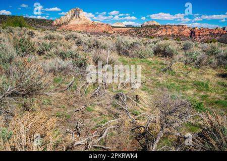 Spektakuläre Ausblicke auf die Kolob Terrace Road vor dem Zion-Nationalpark in der Nähe von Springdale, Utah Stockfoto