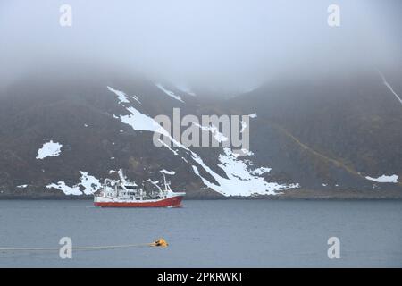 27. Mai 2022 - Honningsvag in Norwegen: Hafen von Honningsvag in Finnmark: Ausgangspunkt für Kreuzfahrtschiffe und Touristen als Ausgangspunkt für ihre Reise zum No Stockfoto