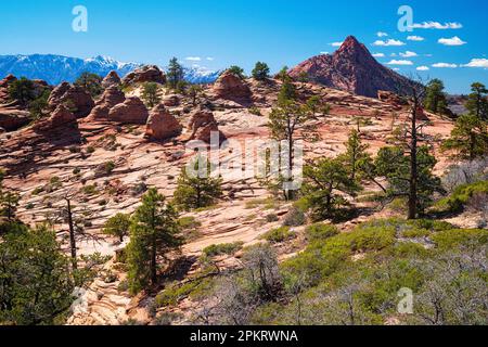 Spektakuläre Ausblicke auf die Kolob Terrace Road vor dem Zion-Nationalpark in der Nähe von Springdale, Utah Stockfoto