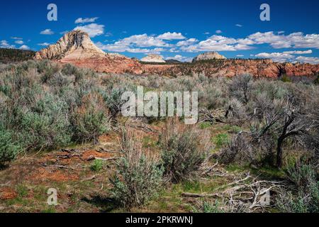 Spektakuläre Ausblicke auf die Kolob Terrace Road vor dem Zion-Nationalpark in der Nähe von Springdale, Utah Stockfoto