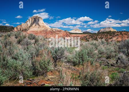 Spektakuläre Ausblicke auf die Kolob Terrace Road vor dem Zion-Nationalpark in der Nähe von Springdale, Utah Stockfoto