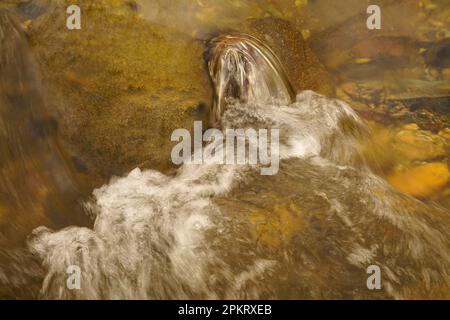 Erhellte den Middle Patuxent River in Howard County, Maryland Stockfoto