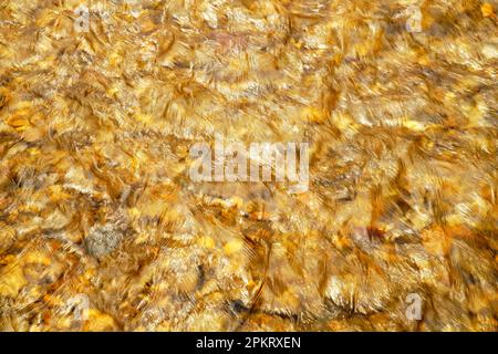 Erhellte den Middle Patuxent River in Howard County, Maryland Stockfoto