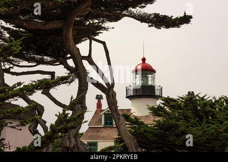 Point Pinos Lighthouse im Pazifik ein Hain, Kalifornien
