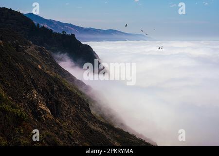 Nebeliger Sommermorgen an der Big Sur Coast in Kalifornien Stockfoto