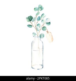 Eukalyptuszweig mit altem Papieranhänger in Vase, Flasche, Glas. Silberdollar. Aquarell handgezeichnete botanische Illustration isoliert auf Weiß Stockfoto