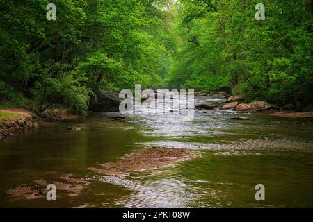 Frühlingsfarben am Middle Patuxent River in Howard County, Maryland Stockfoto