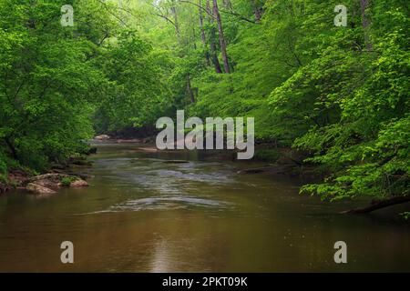 Frühlingsfarben am Middle Patuxent River in Howard County, Maryland Stockfoto