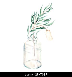 Eukalyptuszweig mit altem Papieranhänger in Vase, Flasche, Glas. Willow. Handgezeichnete botanische Darstellung in Aquarell, isoliert auf weißem Hintergrund. Eco Stockfoto