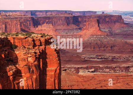 Dramatischer Canyonlands-Nationalpark vom Buck Canyon Overlook Stockfoto