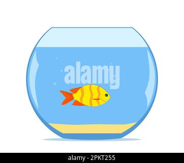 Süße kleine Fische im Aquarium. Farbenfrohe exotische Fische in einem Fischglas mit Sand am Boden. Vektordarstellung Stock Vektor