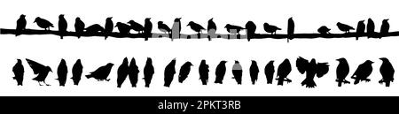 Vögel am Draht. Silhouetten sitzender Stare. Vogelset. Vektordarstellung Stock Vektor