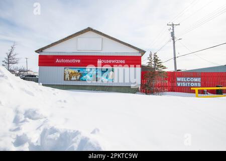 Eisbären- und Belugawale-Wandgemälde im Home Hardware Store in Churchill, Manitoba, Kanada Stockfoto