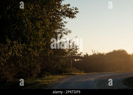 Die Straße, die an der Biegung durch Sonnenlicht beleuchtet wird. Sie vertreten die Inspiration, Gottes Erscheinungen, Aufklärung Stockfoto