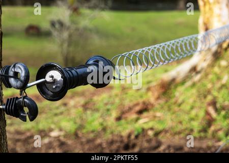 Isolator am Zaun unter Spannung der Elektrizität. Nahaufnahme. Auf Dem Land Stockfoto