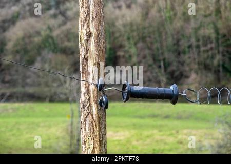 Isolator am Zaun unter Spannung der Elektrizität. Nahaufnahme. Auf Dem Land Stockfoto
