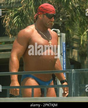 1987 Hulk Hogan Foto: John Barrett/PHOTOlink Stockfoto