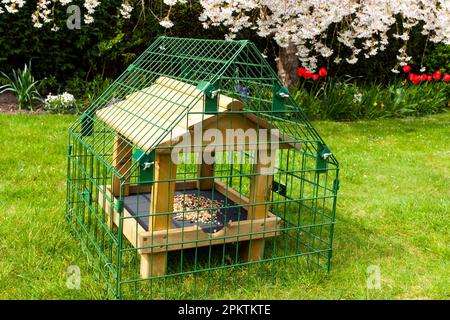Ein kleines Vogelschutzgebiet, das einen Vogeltisch in einem britischen Garten beschützt Stockfoto